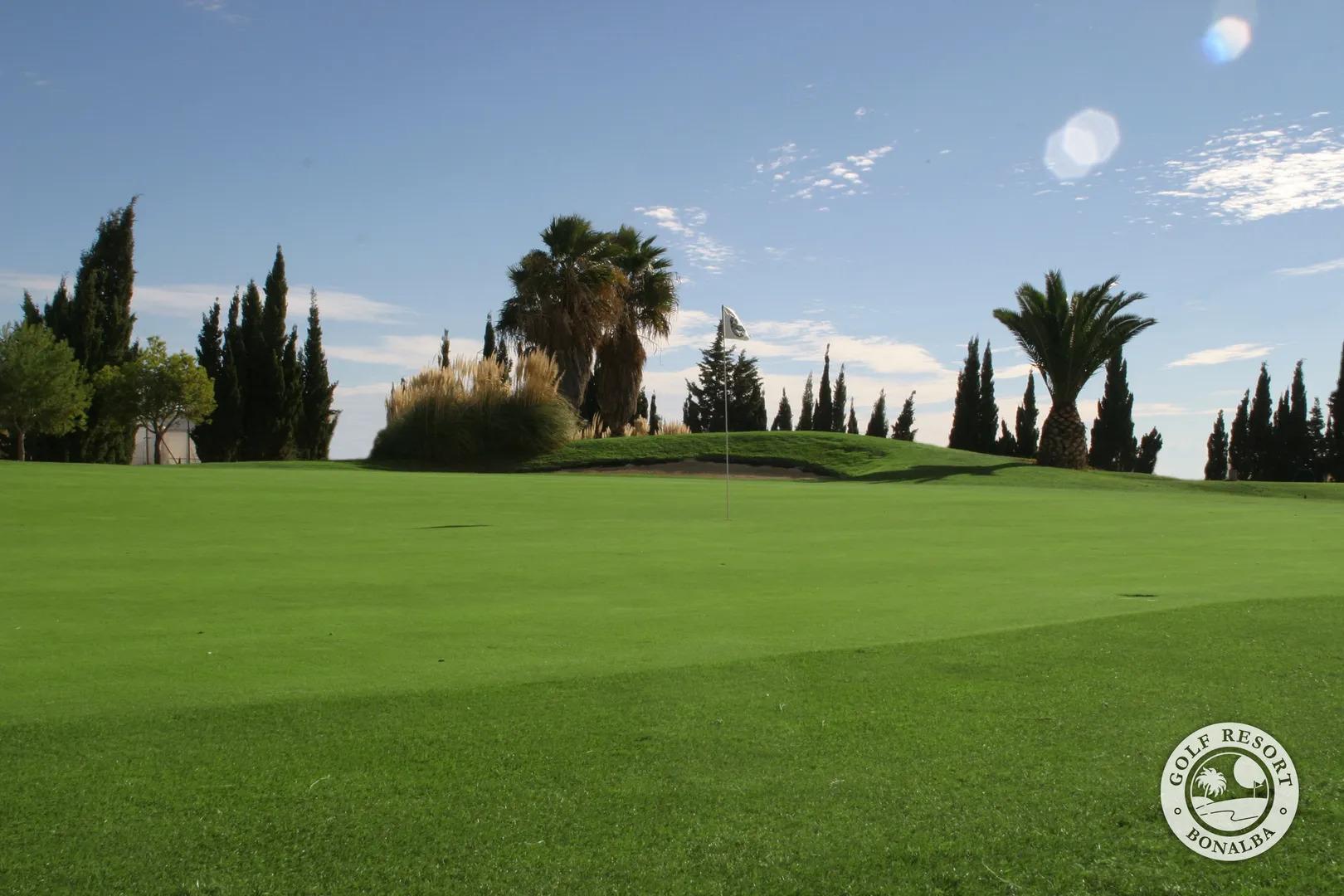 Bonalba Golf - Picture 2