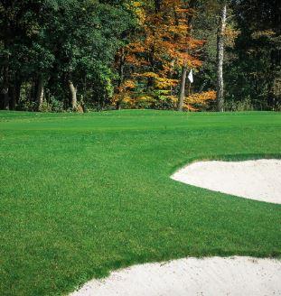 Image for Golf Club Kynžvart