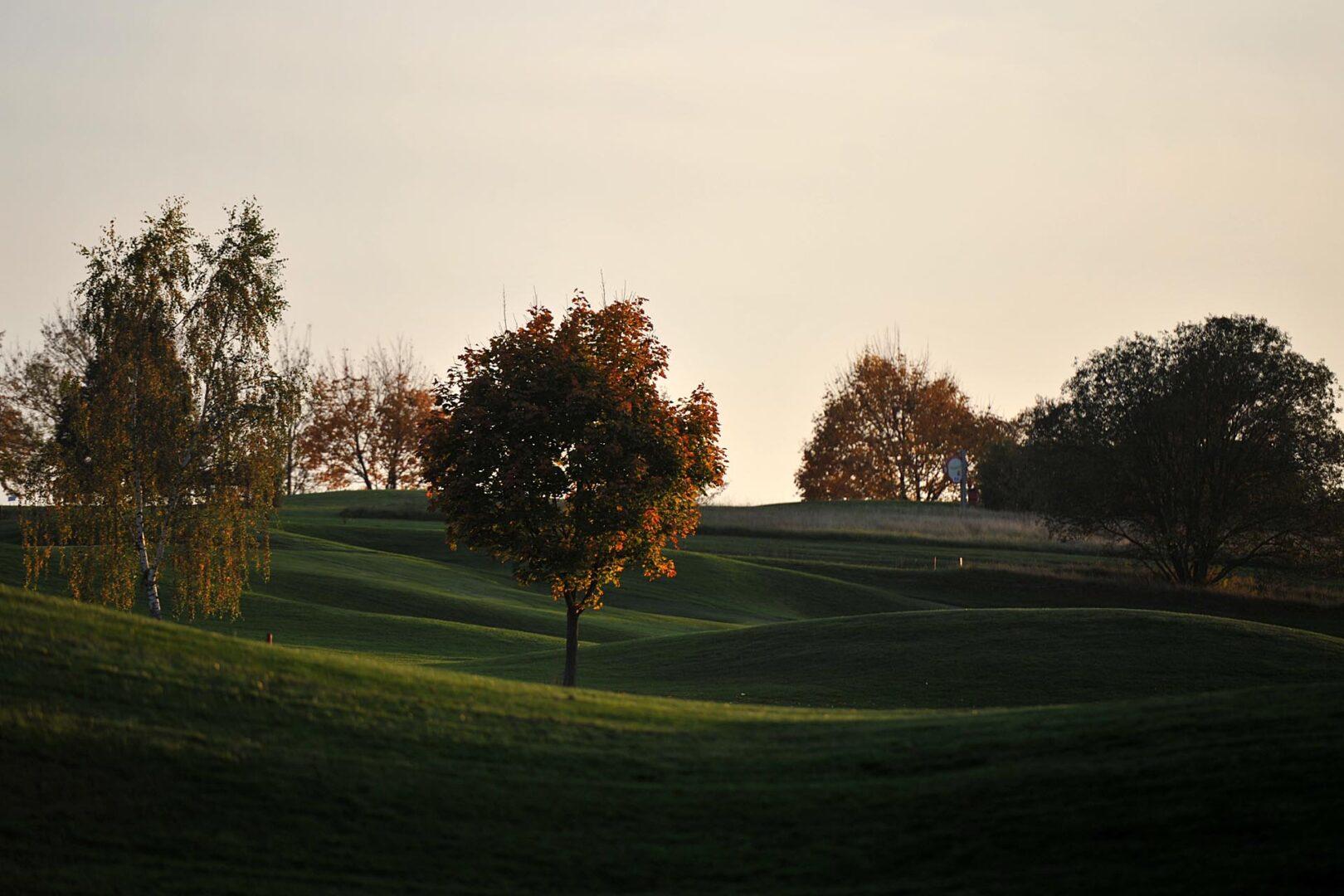 Karlstejn Golf Resort - Picture 1