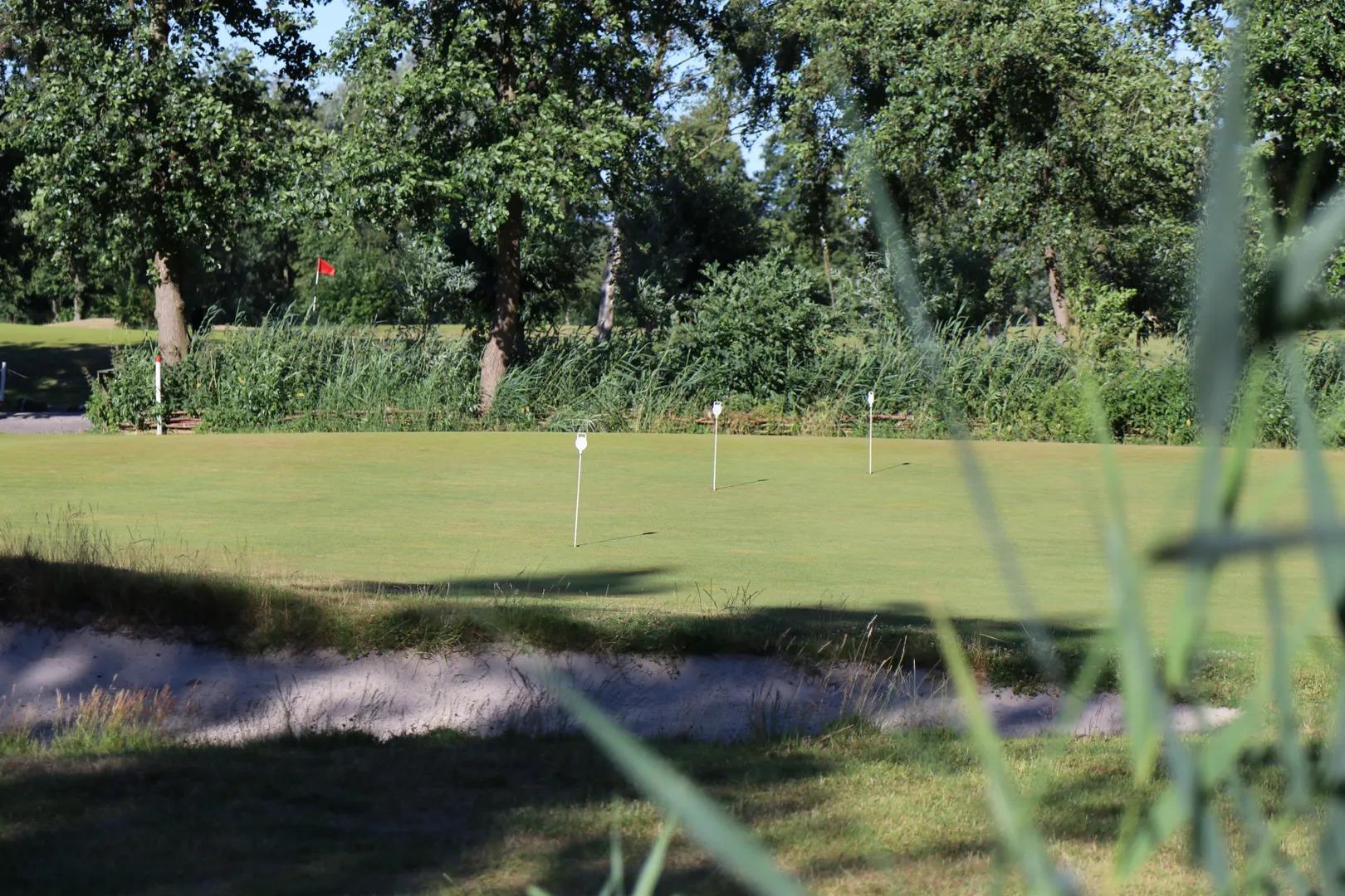 Amsterdam Old Course - Picture 2