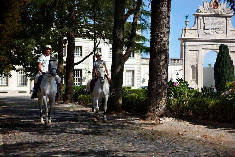 Image for TIVOLI PALACIO DE SETEAIS