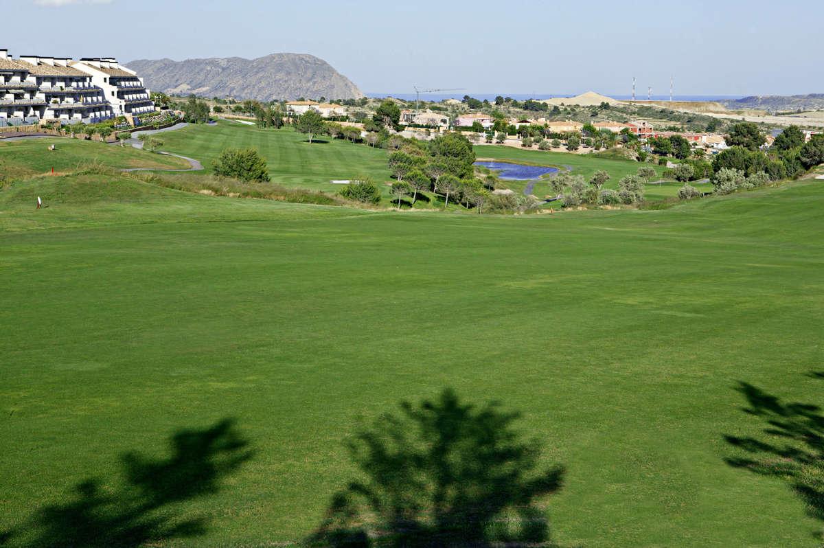 Alenda Golf - Picture 1